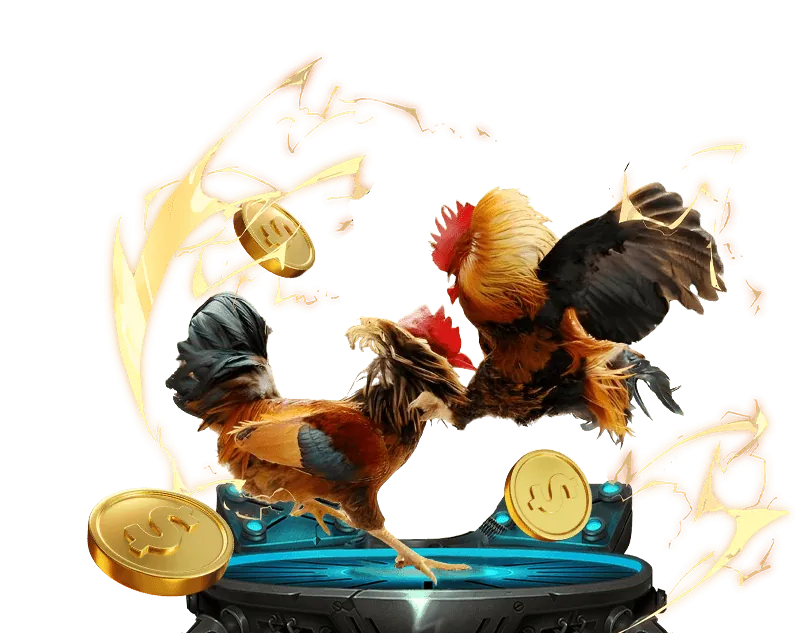 Đá Gà Trực Tuyến game bài win55